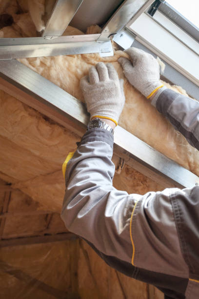 Eco-Friendly or Green Insulation Solutions in Manly, IA